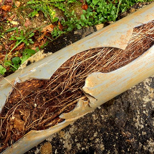 The Drain & Sewer Professionals In Clearview