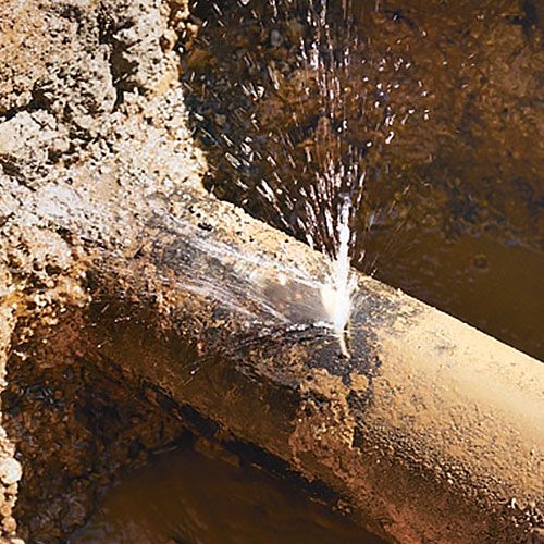 Same Day Clearview Plumbers